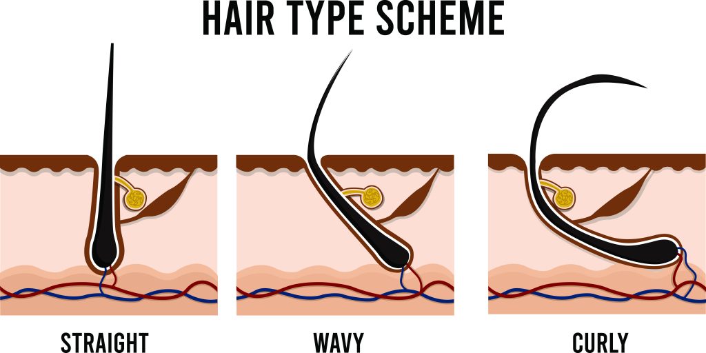 Hair Type SCHEME